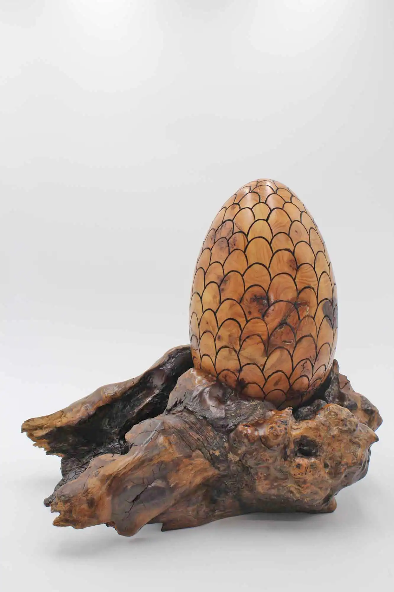 Dragon Egg woodcarving sculpture